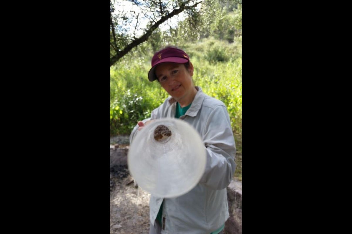 woman holding tube with snake in it