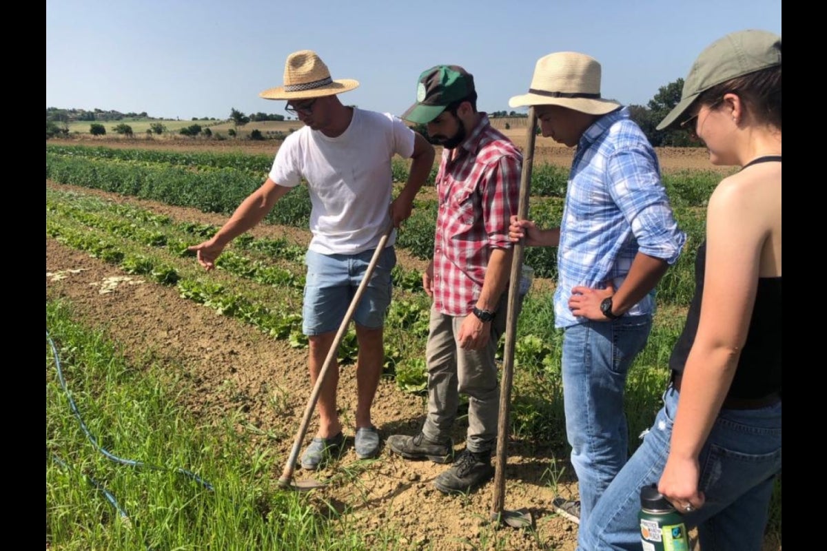 ASU students learning to hoe the soil for aeration