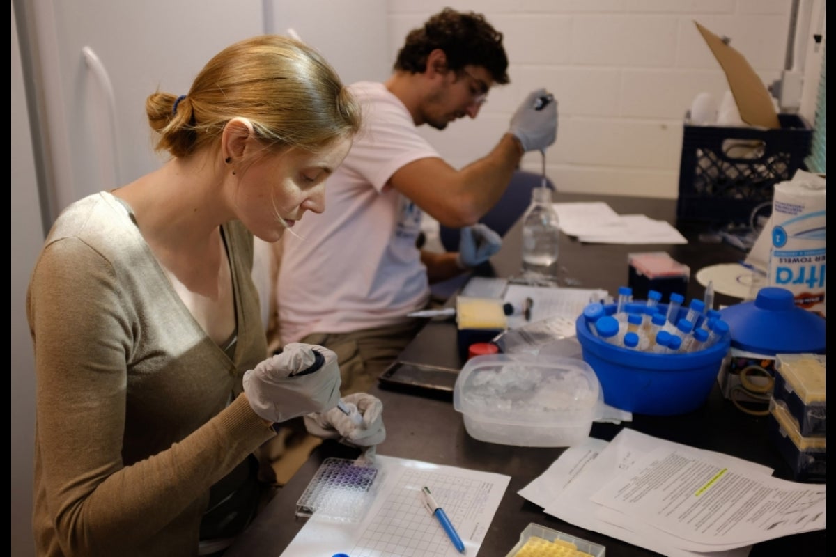 Woman using piping tools in a lab