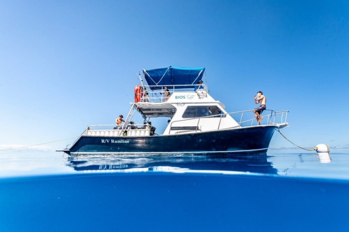 People on a boat in the middle of the ocean.