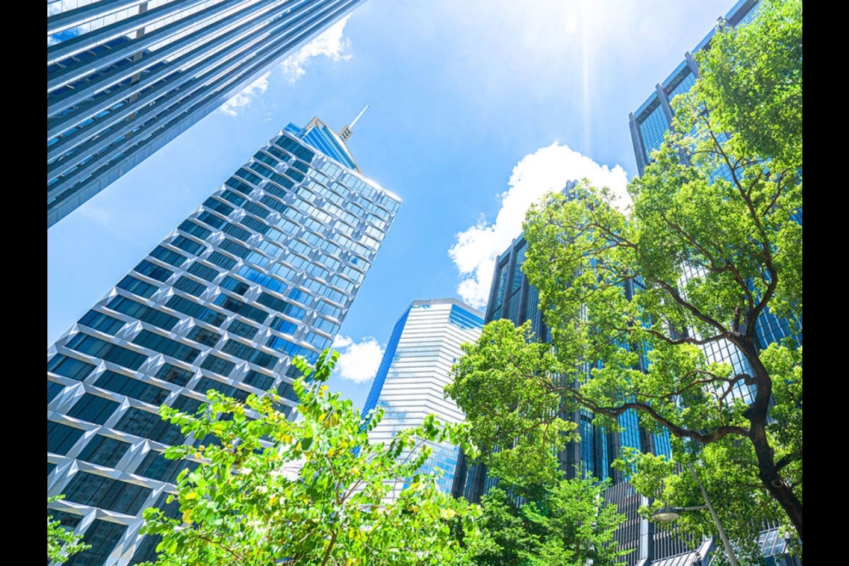 tall buildings behind trees in city