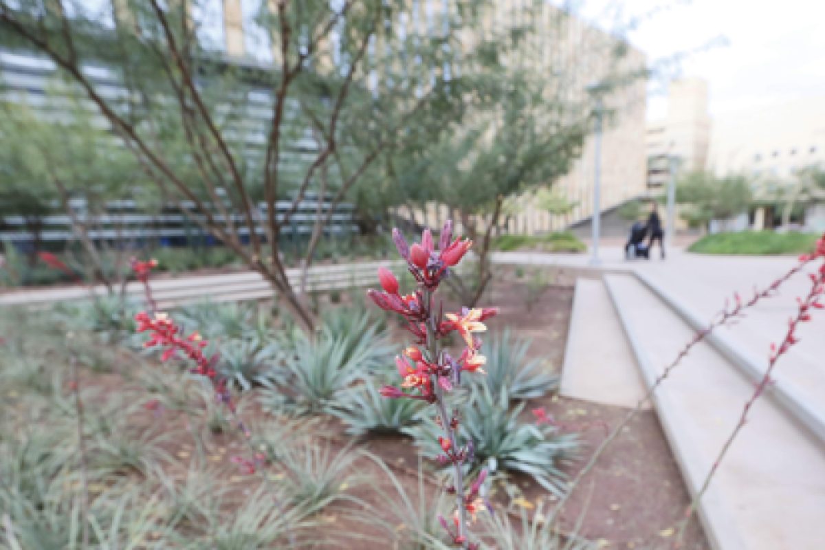 photo of BCLS building