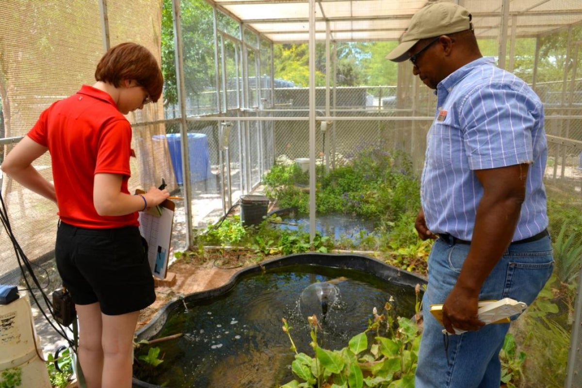 An intern works with a Phoenix Zoo staff member.