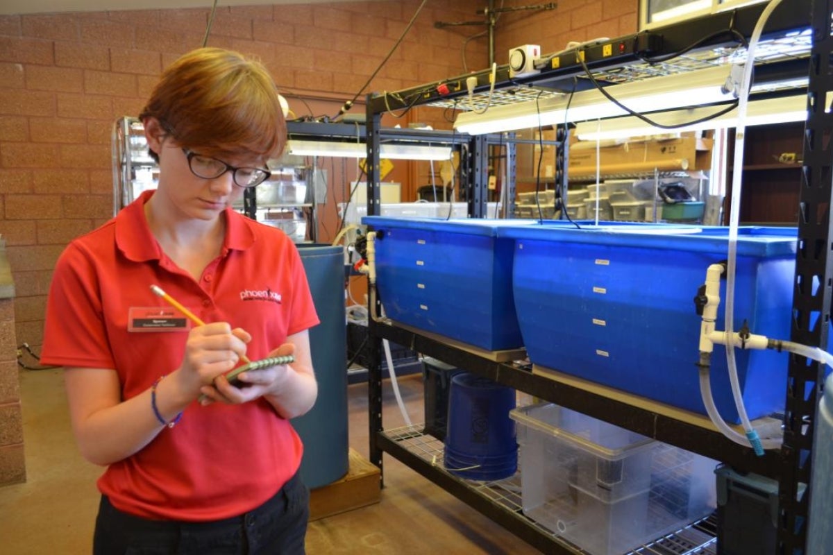 A student works at Phoenix Zoo.