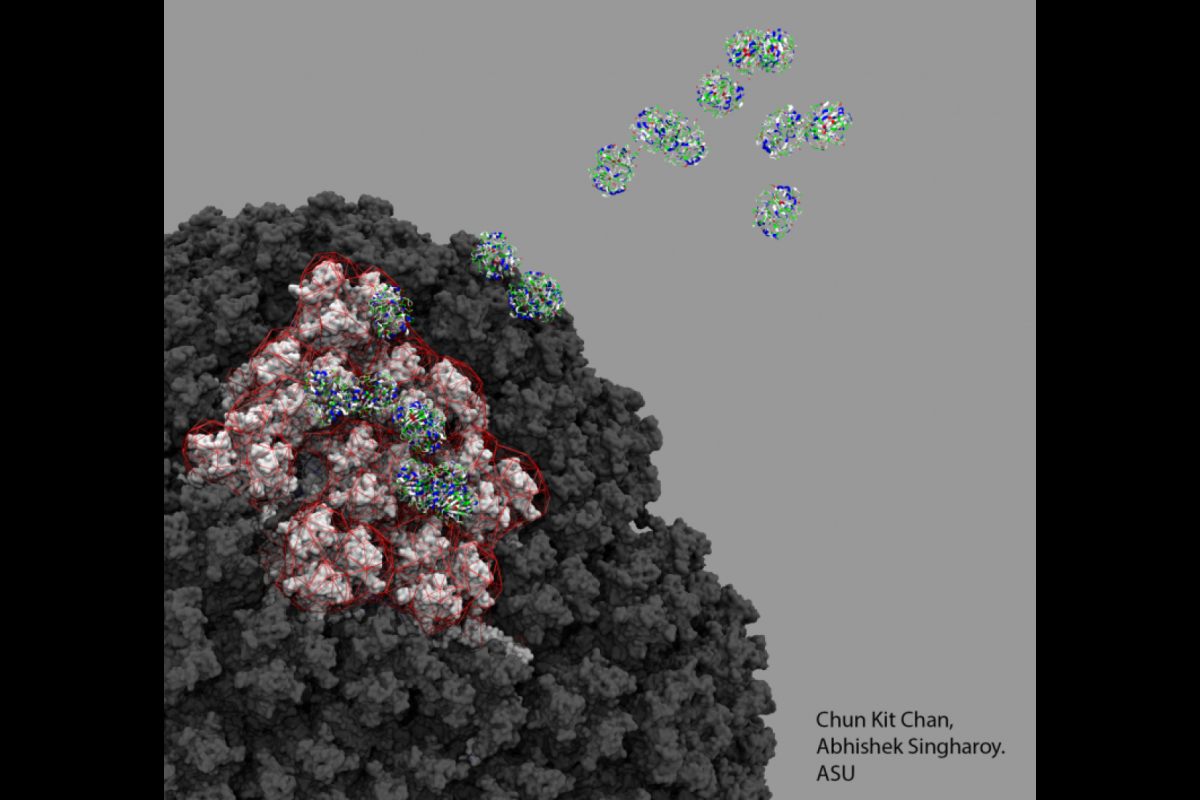 A cloud of platelet factor 4 proteins interacting with the electrostatic surface of the Oxford vaccine, as seen through a computational microscope 