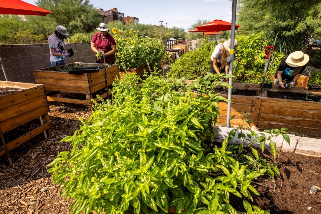 Four people gardening