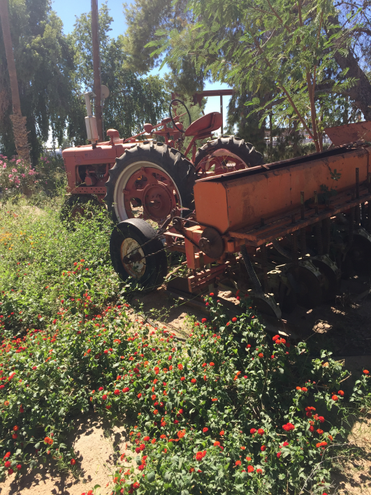 schnepf farms