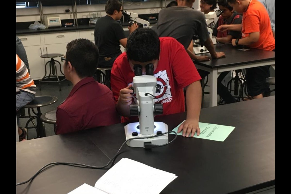 Science in the City participant views samples with the microscope