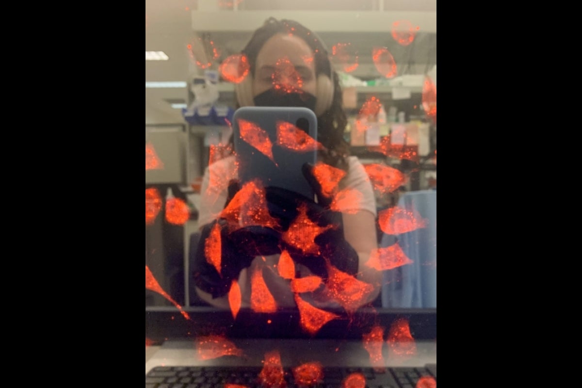 Photo of a person taking a picture of cells being observed through a microscope.