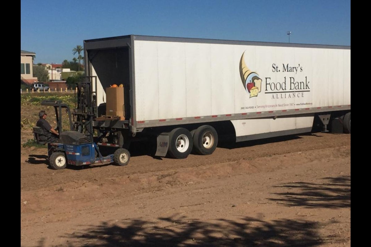 A man uses a forklift to load large boxes of pumpkins into a semi truck.