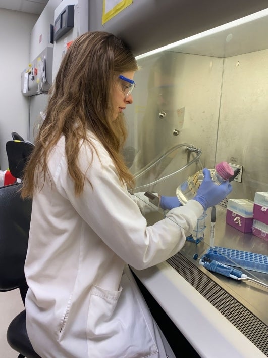 Biomedical engineering doctoral student Jaimeson “Jaime” Veldhuizen works in the Nikkhah Lab.