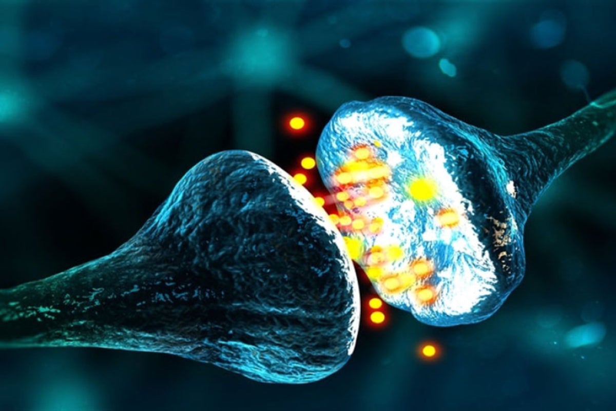 Illustration of dopamine moving between nerve cells