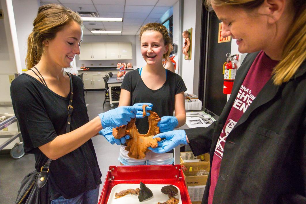 Women handle a set of intestines in a lab.