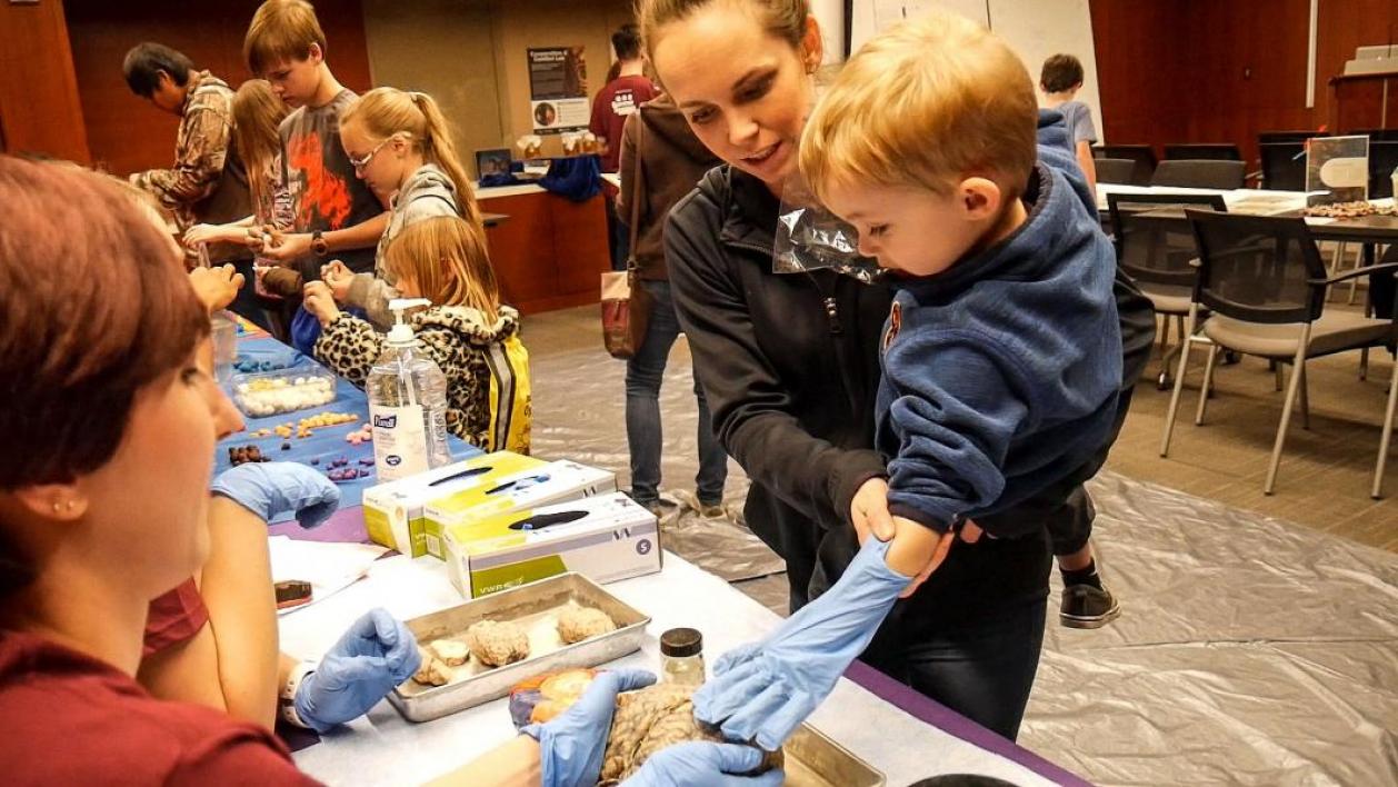 Child visit the ASU Open Door at the ASU Department of Psychology