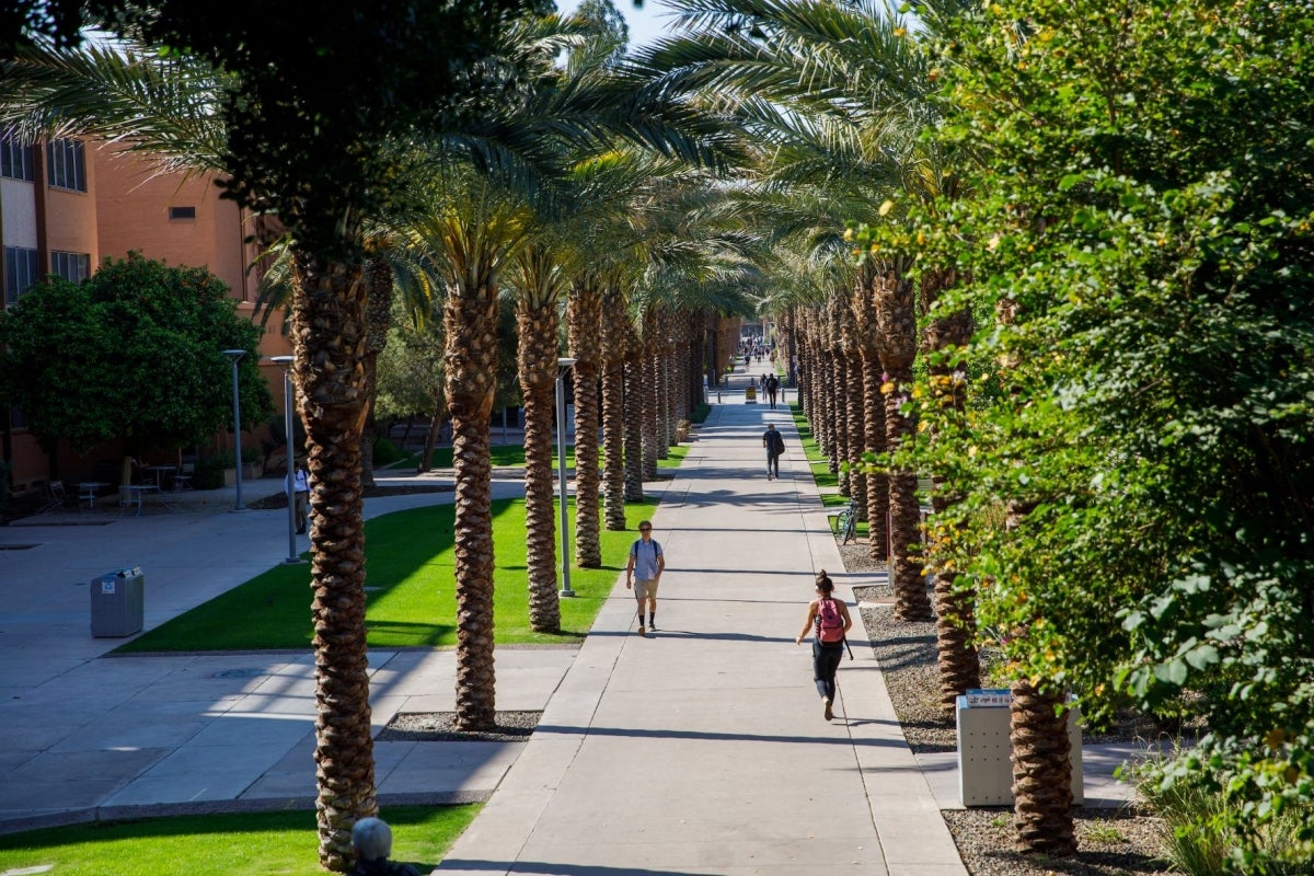 View looking down Palm Walk on ASU's Tempe campus.