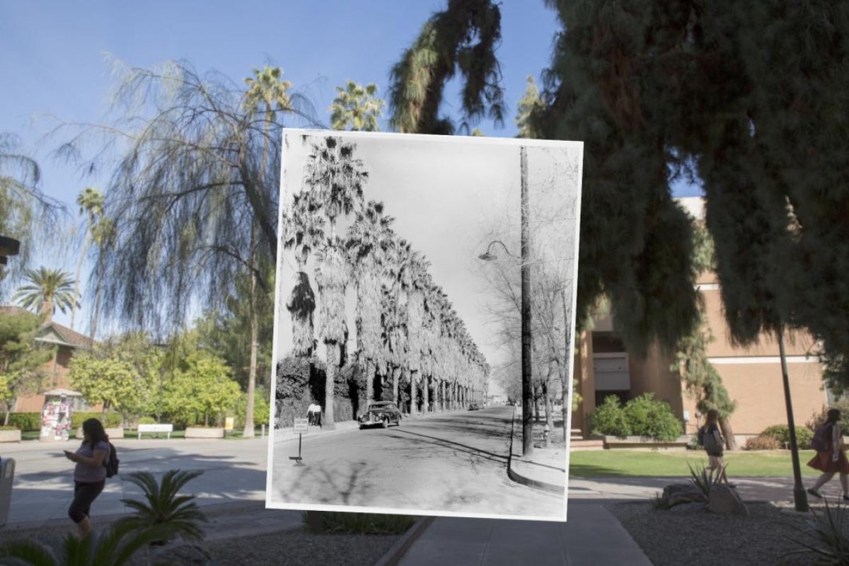 Palm Walk then and now.