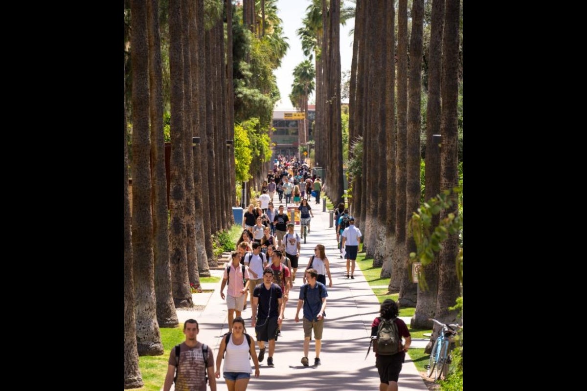 Palm Walk in 2015