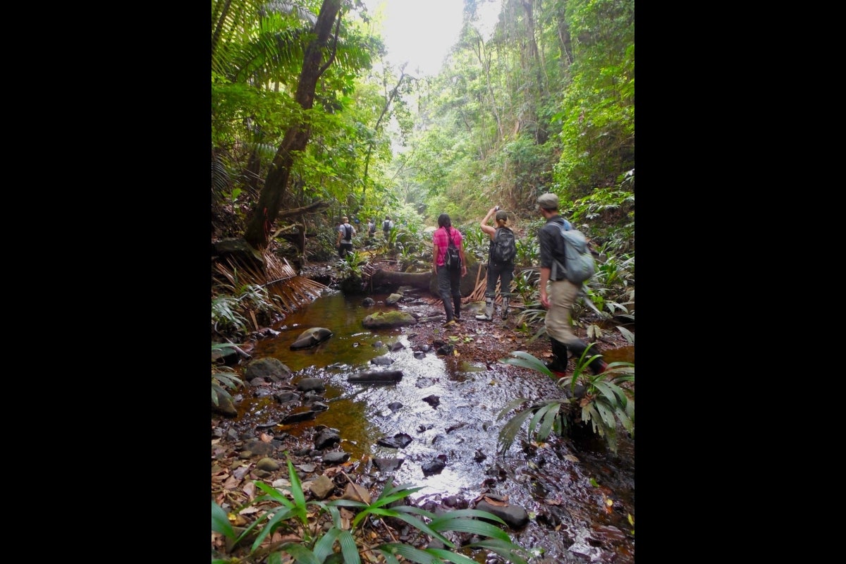 Experimental Tropical Biology course in Central America