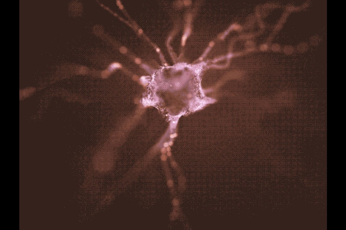 Image of a neuron