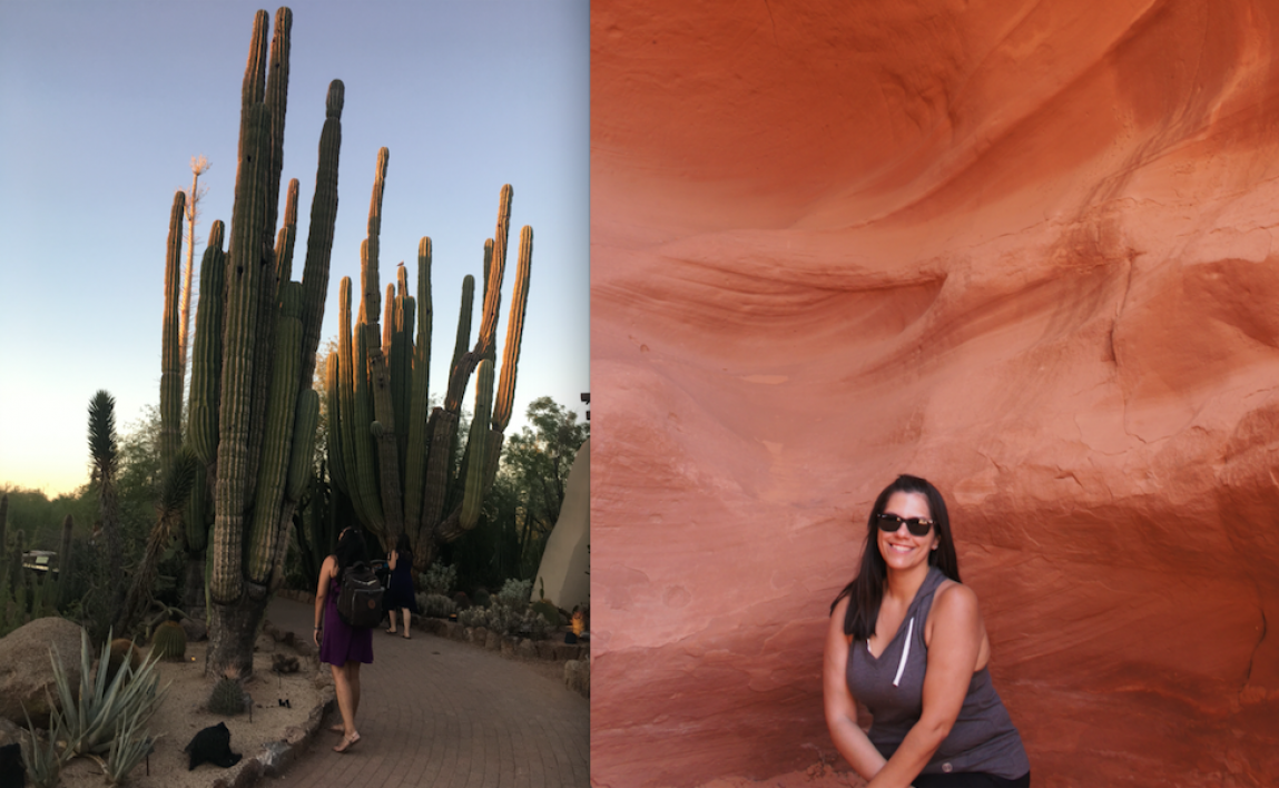 Pic of students exploring large Arizona cactus and red rocks