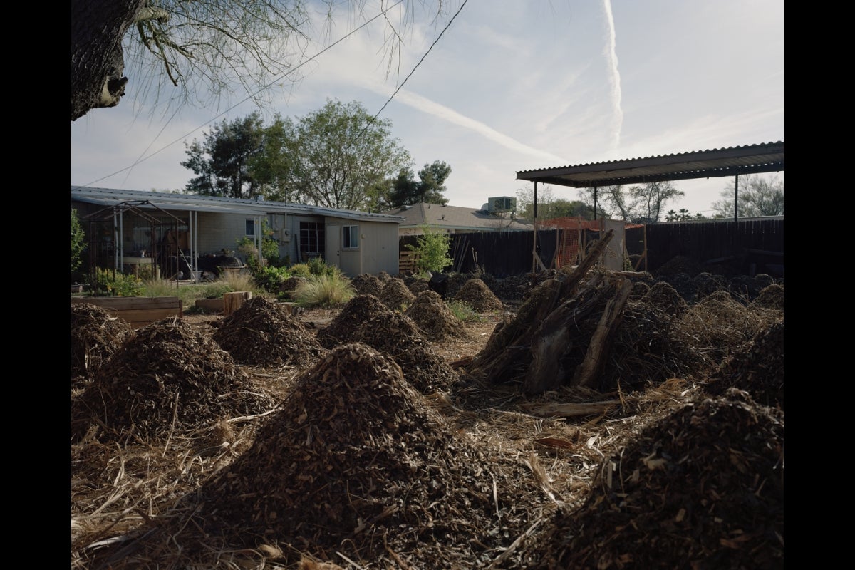 Piles of compost.