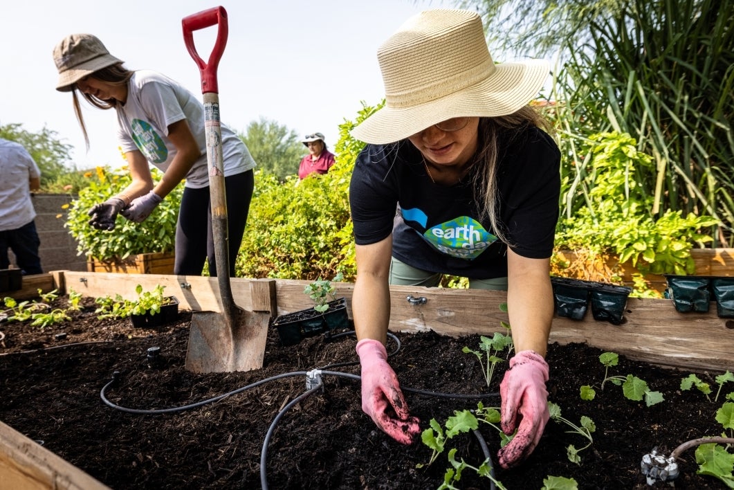 Women digging up soil