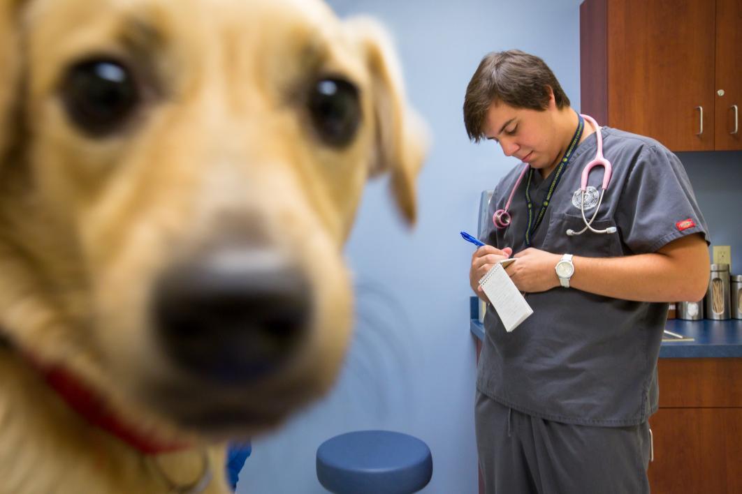 student taking notes while dog looks at camera