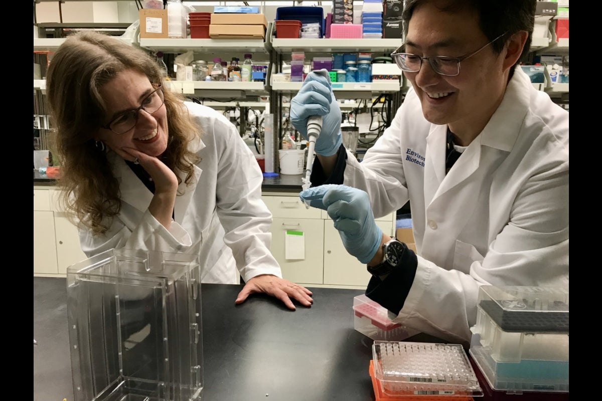 ASU Professor Rosa Krajmalnik-Brown and Assistant Professor Daewook Kang wearing white lab coats in a lab setting.