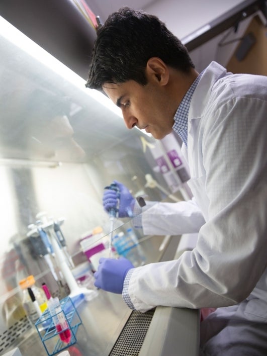 Associate Professor Mehdi Nikkhah works in his lab.