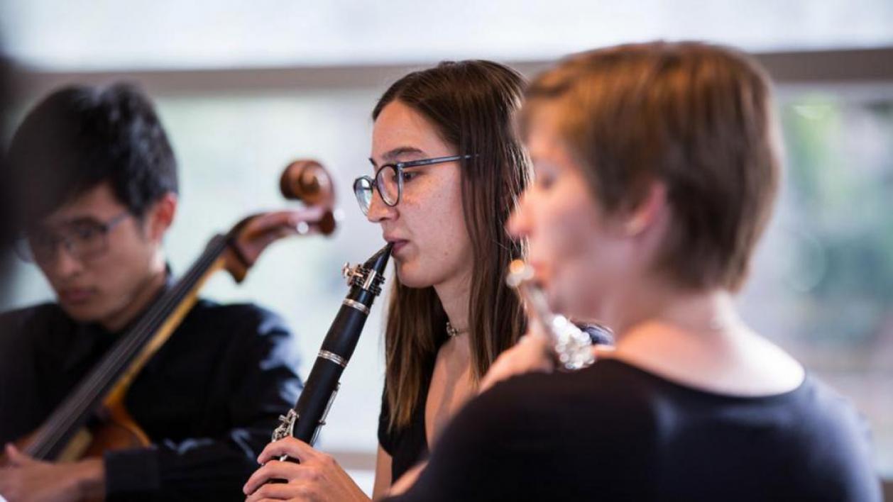 Musicians play instruments at a show