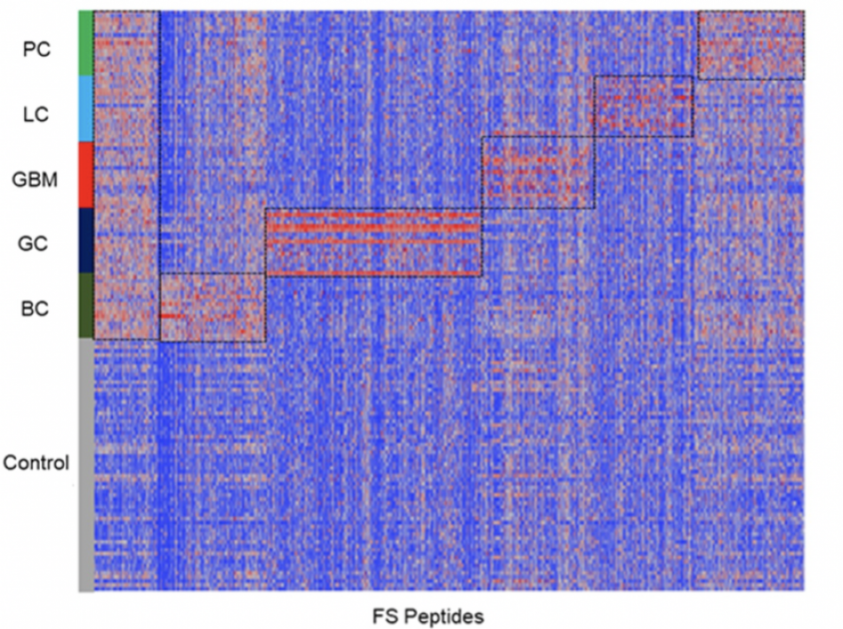 A cancer array shows positive signals that could be used to make a cancer vaccine