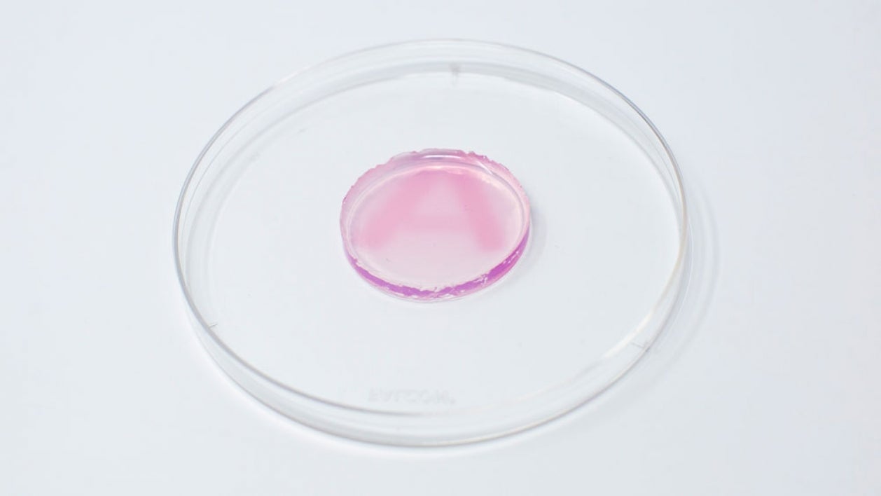 A pink-colored hydrogel indicates exposure to radiation, and the intensity of the color correlates to the dose of radiation. 