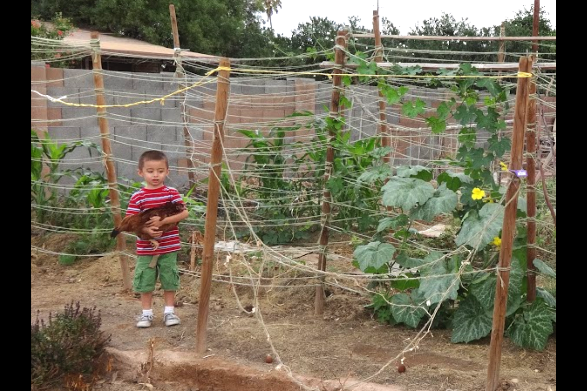 Shaffer's son, holding a chicken, shows off their backyard garden.