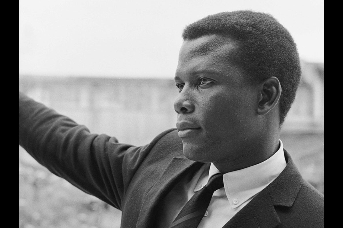 portrait of Sidney Poitier