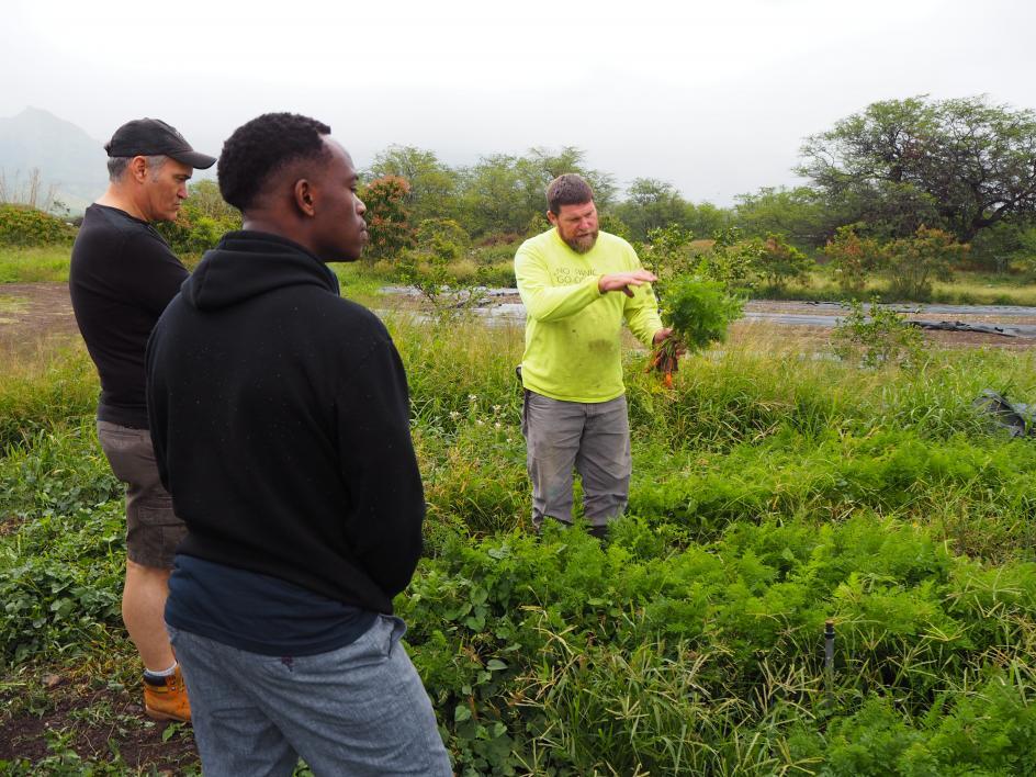 3 people standing in field on Hawaiian farm