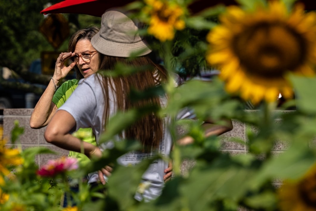 Two people talking in a garden