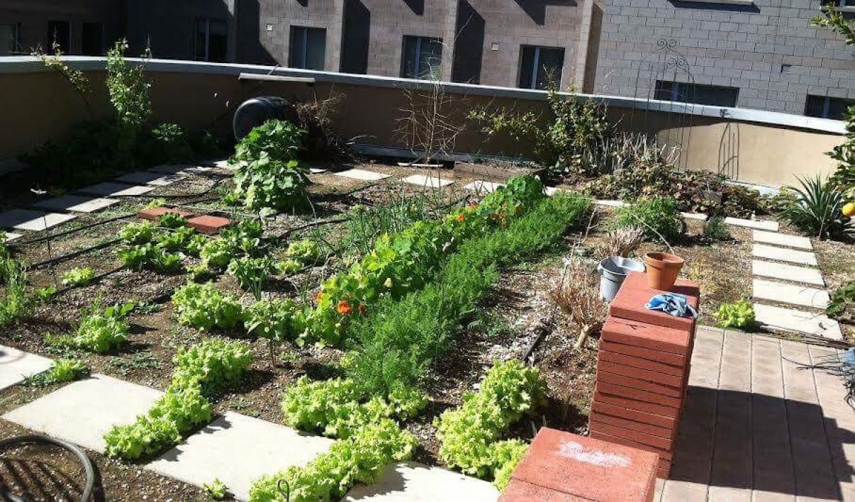 Rooftop garden