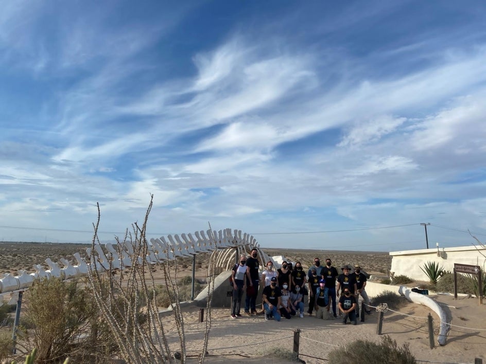 TEAM students examine female baleen whale skeleton