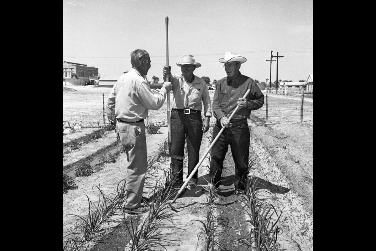 two men working on farm