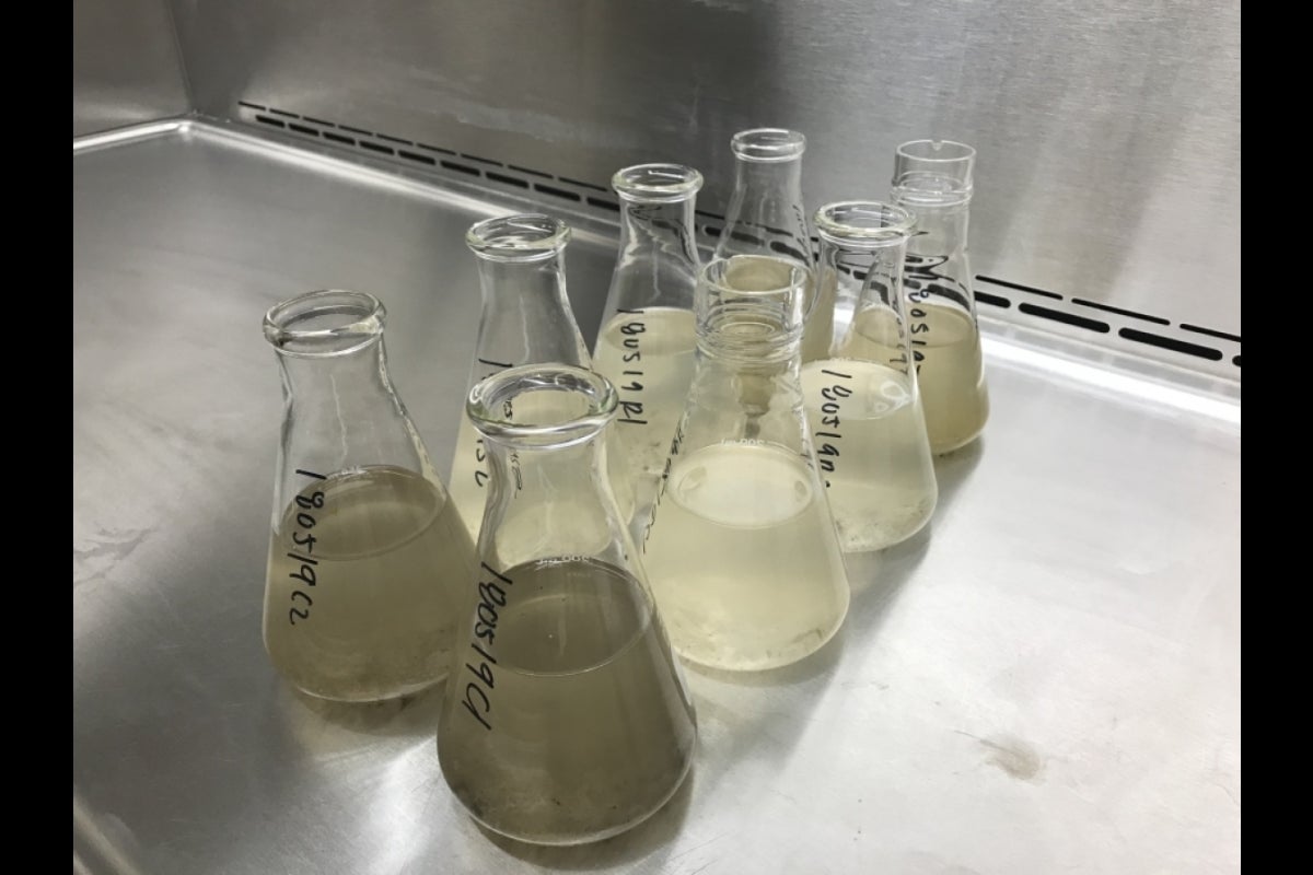 Beakers containing samples of wastewater on a table in a lab.