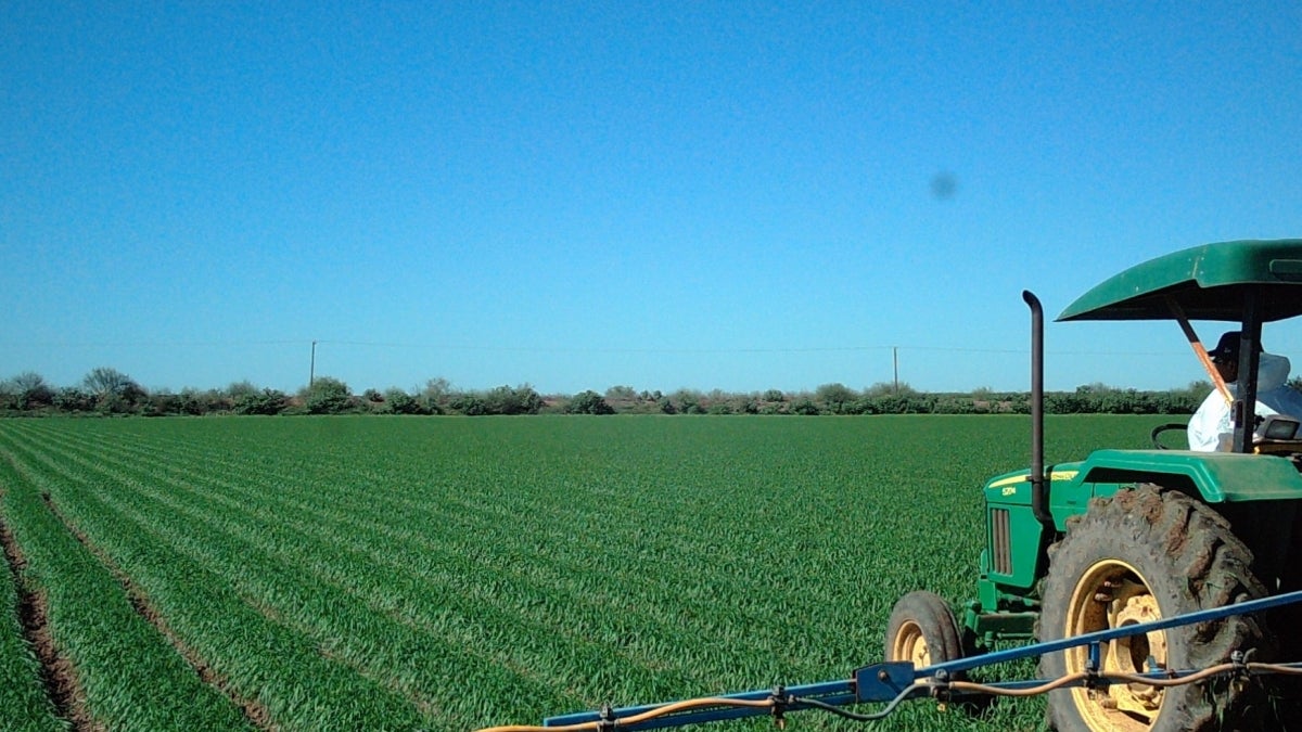 Farmer drives tractor in Sonora, Mexico