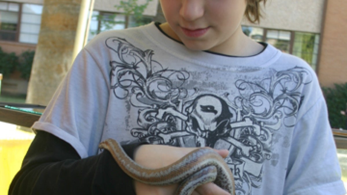 boy with snake