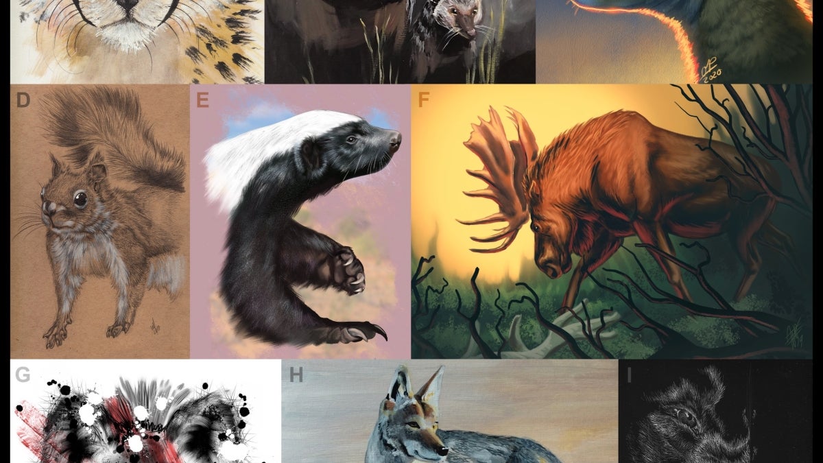 Illustrated images of a jaguar, warthog, moose and more. 