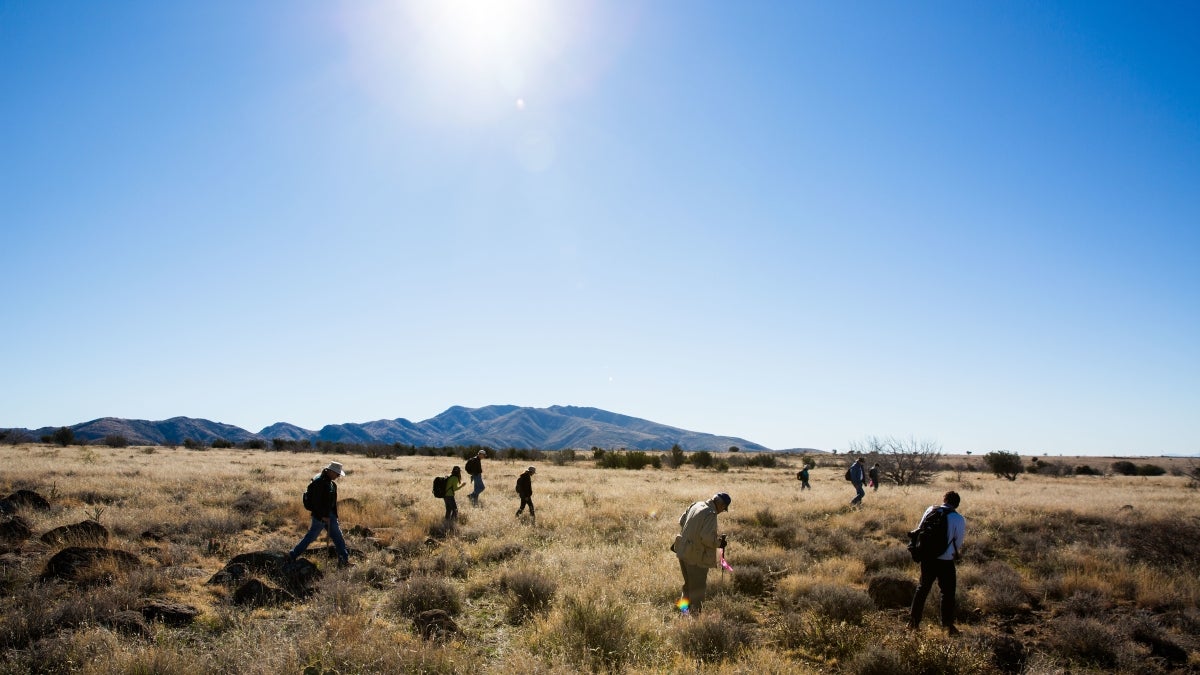 volunteers surveying Perry Mesa