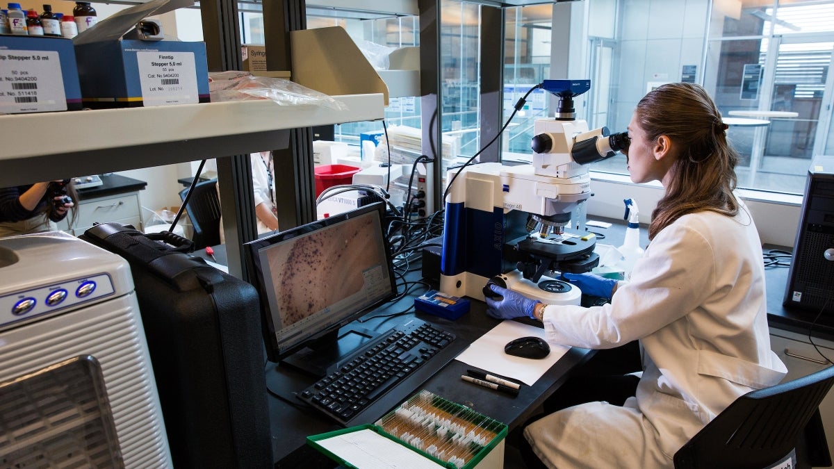 Scientist working in a lab