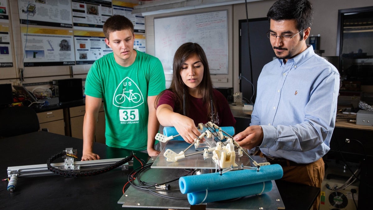 Professor Hamid Marvi works with graduate students