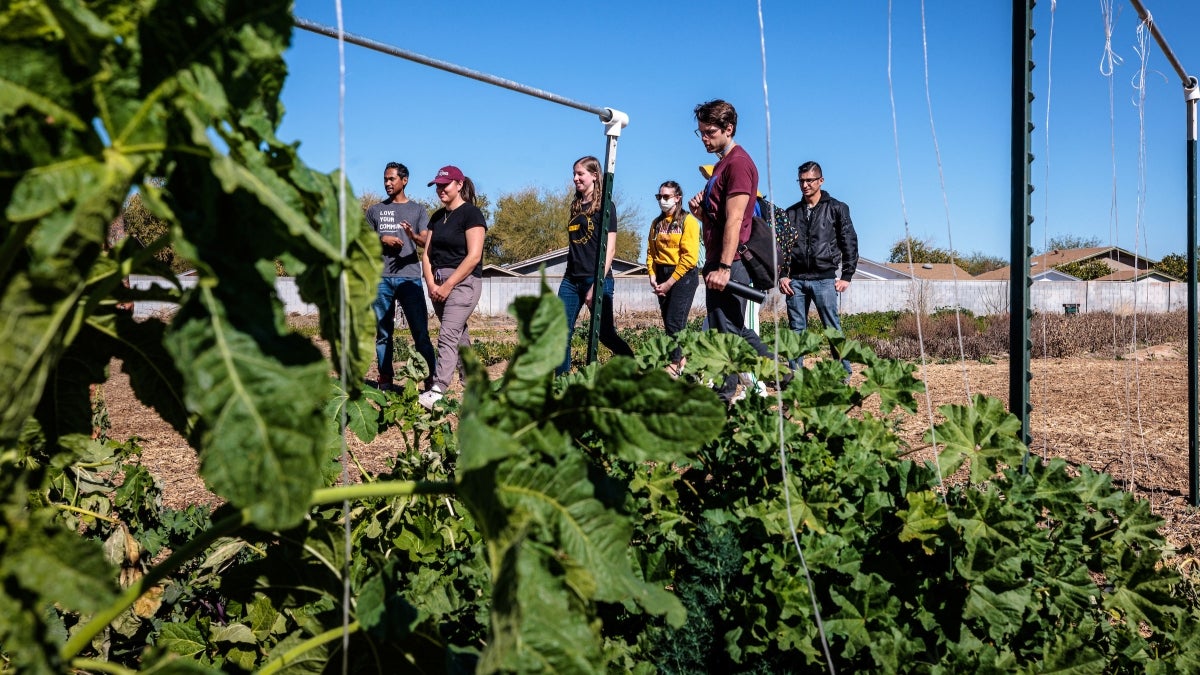 Students standing in an urban garden.