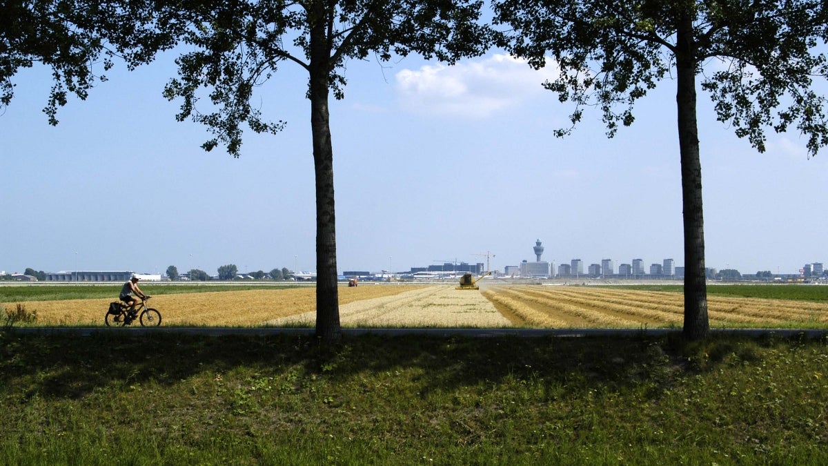 landscape with two trees and a bicyclist