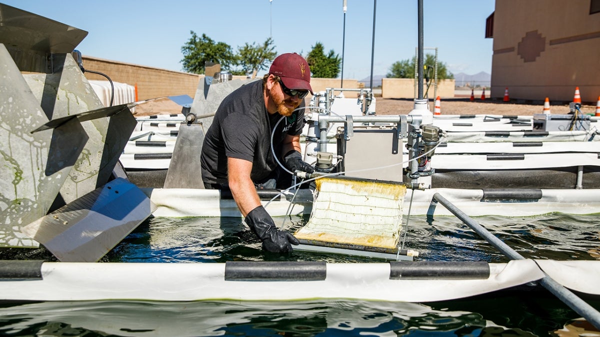 Researcher Everett Eustance inspects algae pool at wastewater facility.