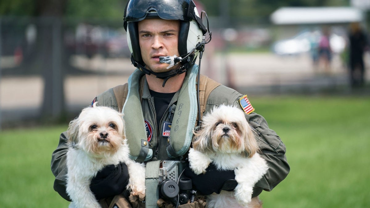 A Navy pilot helps rescue dogs from a Houston-area pet shelter after Hurricane Harvey